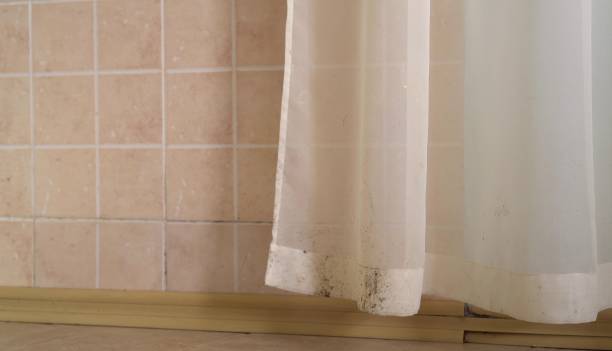 Best Indoor Air Quality Assessment  in Roy, UT