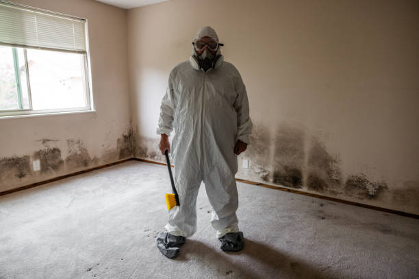 Best Mold Prevention Services  in Roy, UT